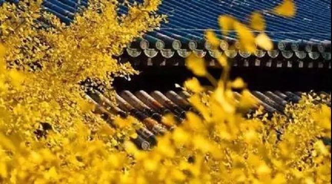 ���У�����һ��ʼ������