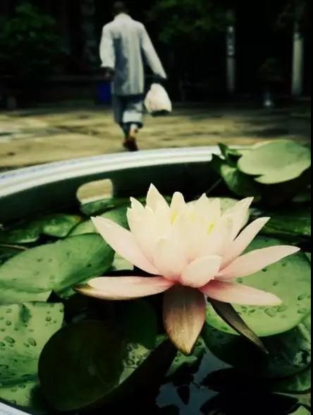 梦参长老念佛三问 梦参长老念佛三问