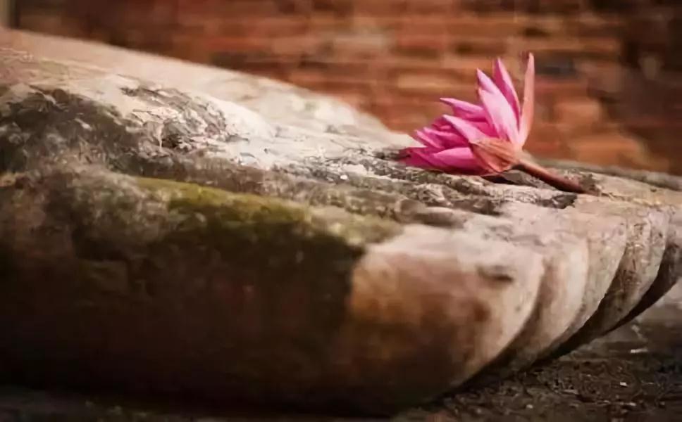 梦参长老念佛三问 梦参长老念佛三问