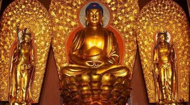 悟苦修净业,缘熟径生西——张老居士往生纪实 悟苦修净业,缘熟径生西——张老居士往生纪实