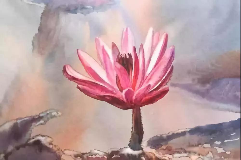 Ҫ�빦�´�����һ��Ҫ�ò��У�