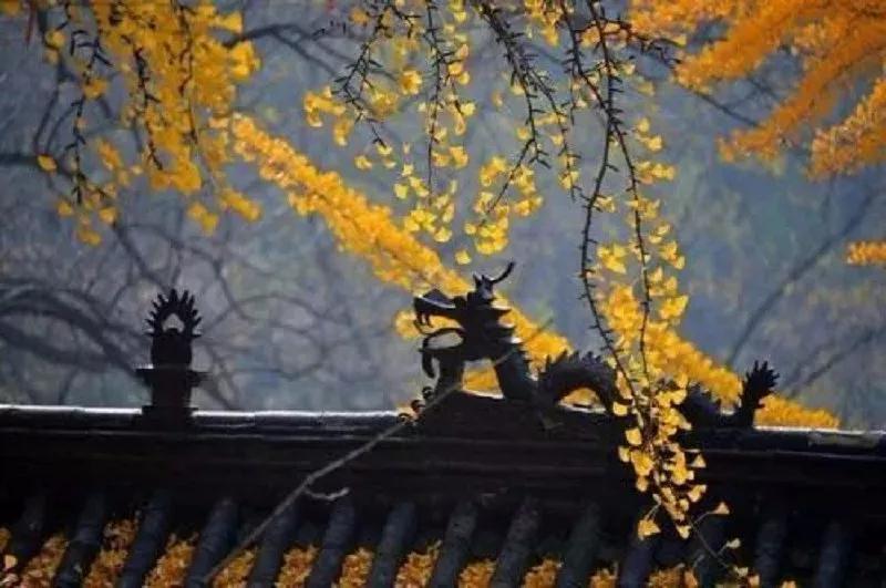 �������λã������þ��ξ���...