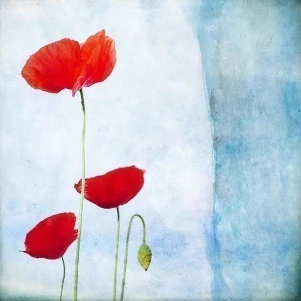 ·�������Ŀ������ò����ĺ�