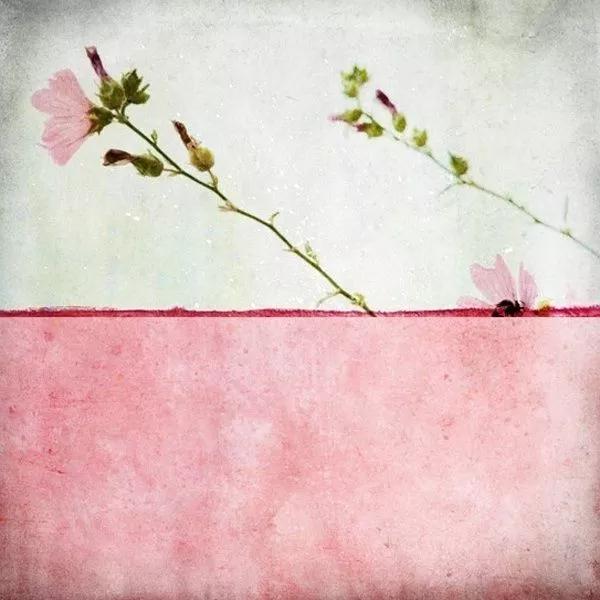 ·�������Ŀ������ò����ĺ�