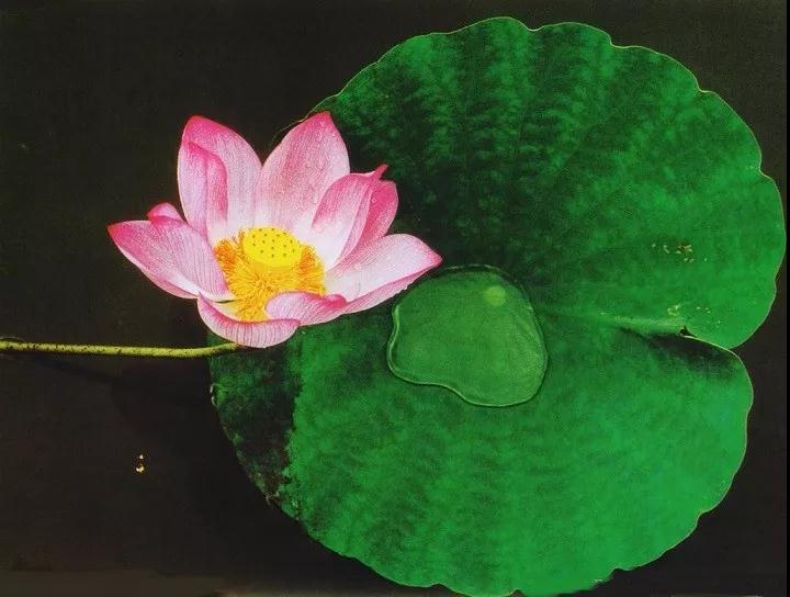 �����е�����״�������أ�һ��ҪС��