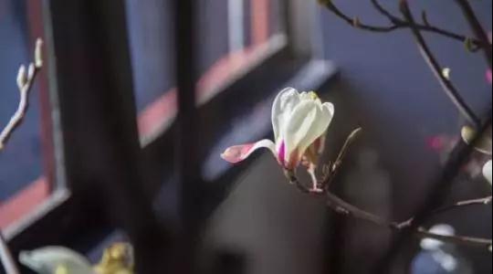 �����е�����״�������أ�һ��ҪС��