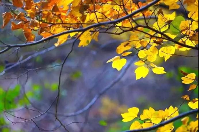 生老病死一切皆苦,这才是人生! 生老病死一切皆苦,这才是人生!