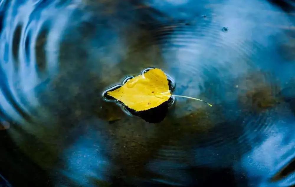 �����������Ǻ쳾����_��Ҫ���ľ��������������е���һ��