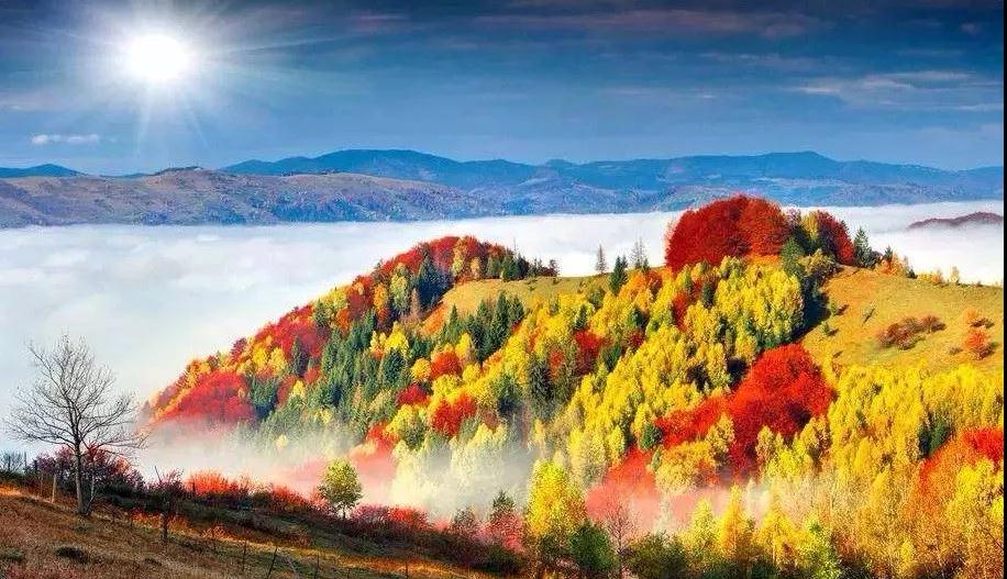 找到自己的清净心,你将拥有整个宇宙 找到自己的清净心,你将拥有整个宇宙