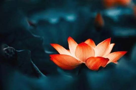 ����Ϊ���˰����Ǻ��£���ʵ��Ҫ�����ϵ�����ȥ��