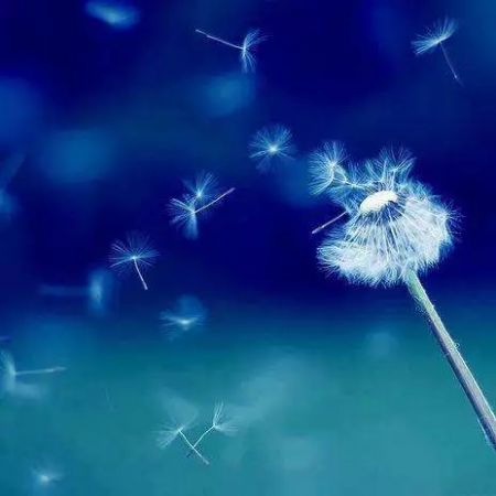 ÿ��һ�����ģ����������ȶ��Ὺ