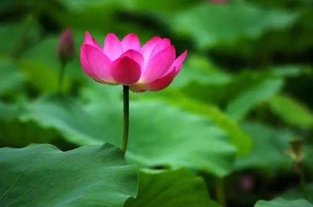 ���˽Կɳɷ𣬿�ϧ�㡰�ҡ���������