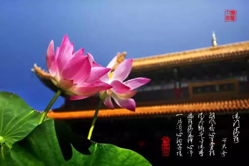 修行有没有窍门?如何选择法门? 修行有没有窍门?如何选择法门?