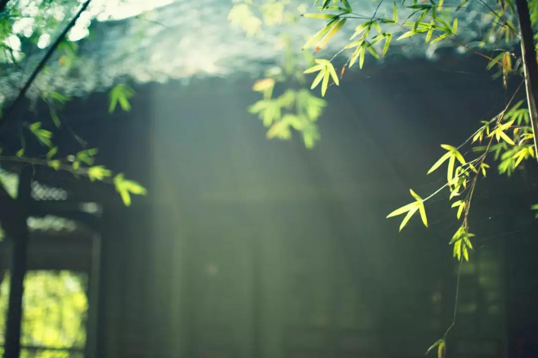 若有智慧,人人是好人,事事是好事 若有智慧,人人是好人,事事是好事