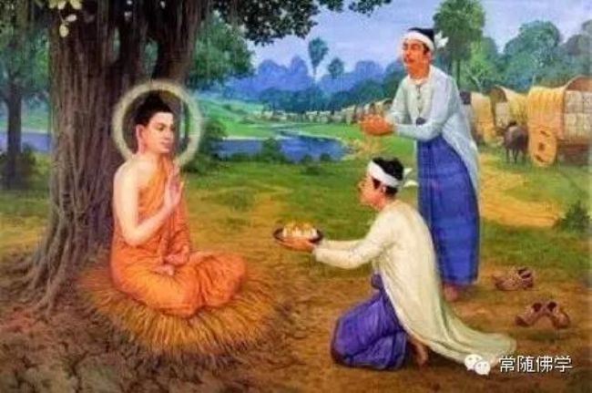 ����Ĳ��������ʲô���ǶԷ������������