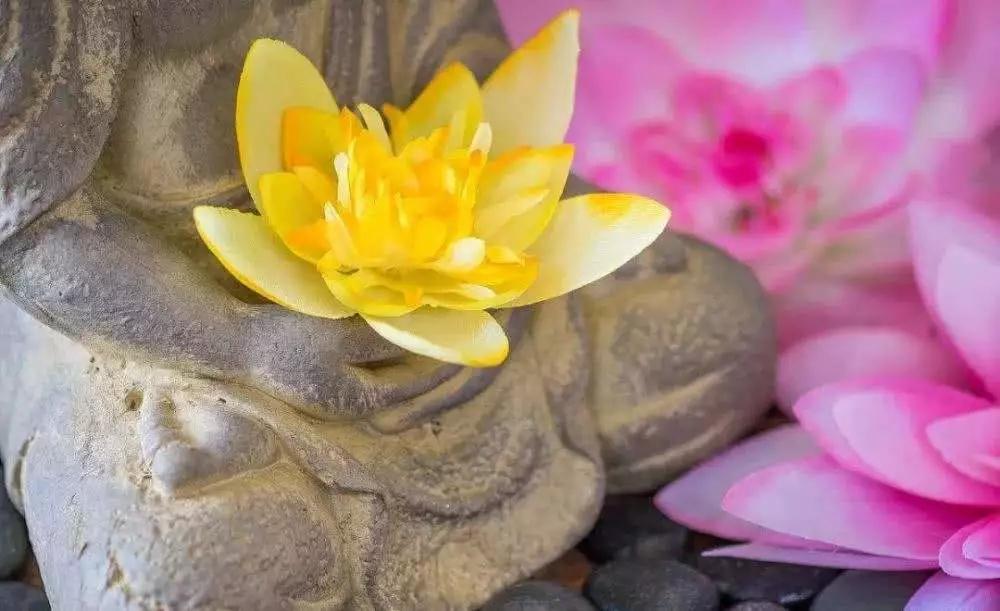 ���Ƿ�ֻ������Ժ�ķ��񣬺������ߵķ��ӣ�