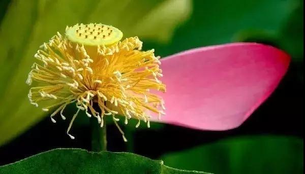 Ӧ�����׷�󸣵º͹��£�