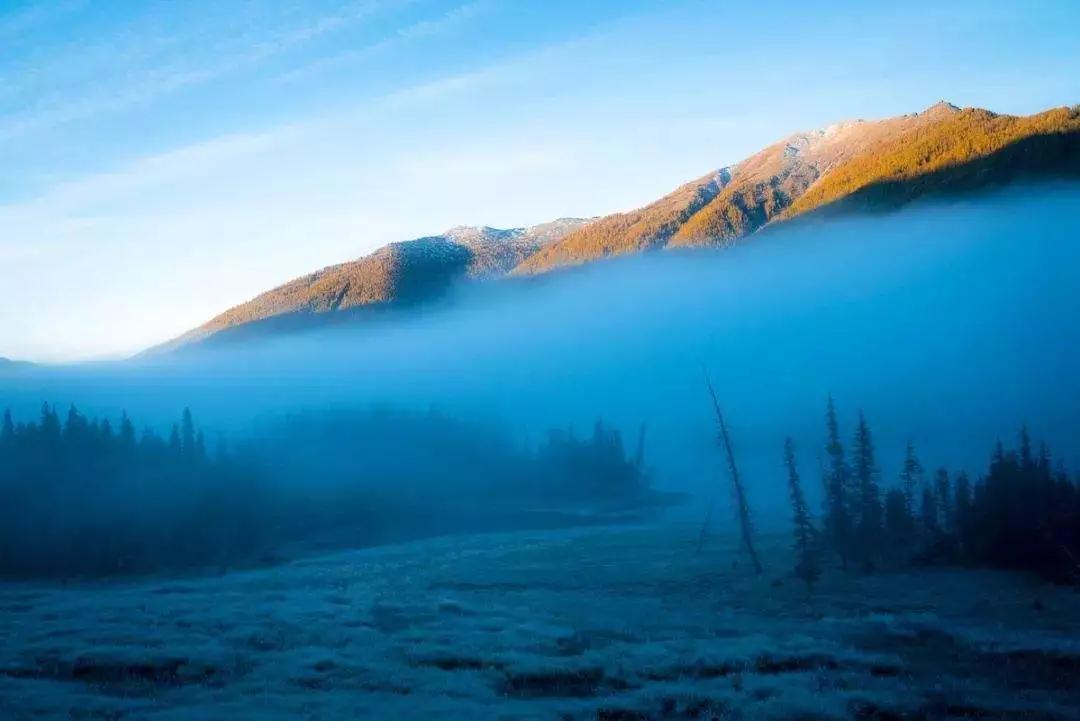 ���ڷ�ʦ������������