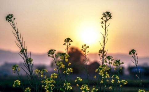 �͵����˲�������Ϊ��Ҳ��Ʒ�񣬸����ǻ�