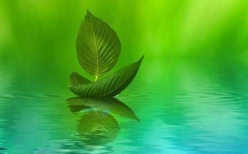 һλ����ɱ���Ĳ�ʹ����