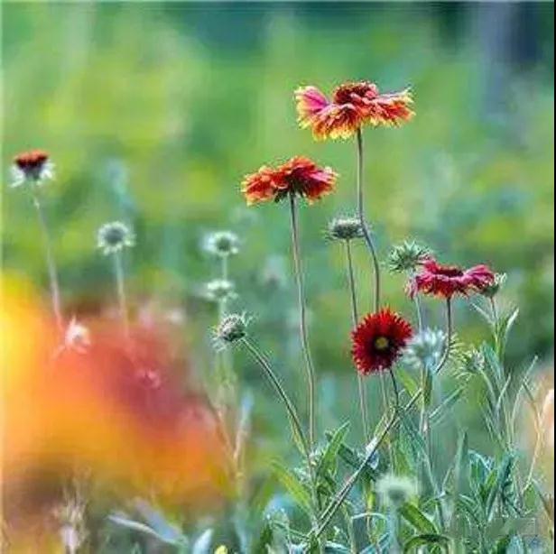 ��������һ�Σ������Լ�ǧ�ٴ�