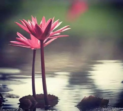 �˵���Ե���������ע������