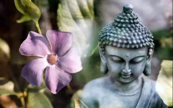 种下的恶因如何转成善果? 种下的恶因如何转成善果?