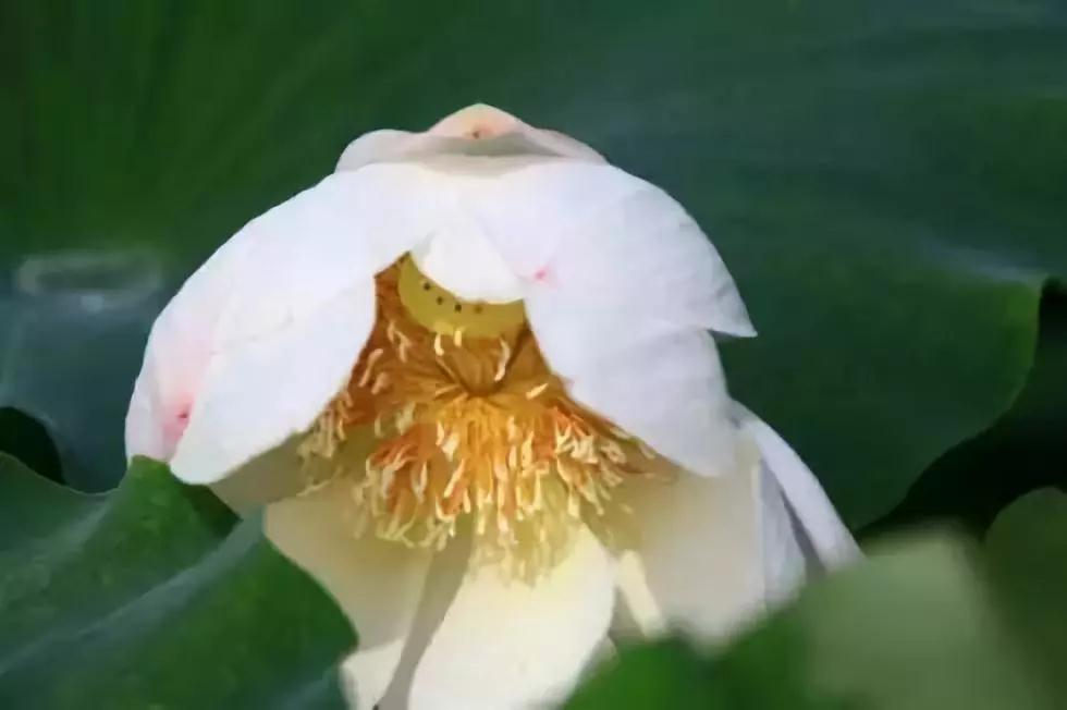 种下的恶因如何转成善果? 种下的恶因如何转成善果?