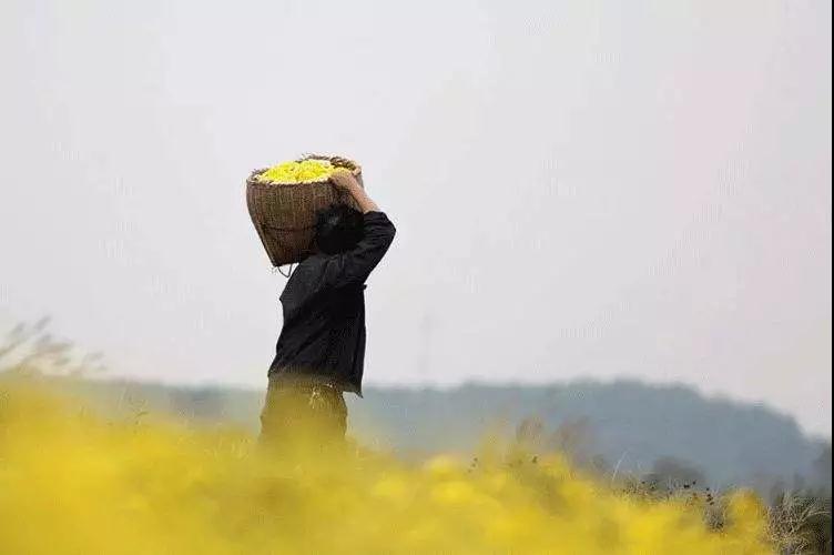 �������¸�����ʲô�������ĸ��У�