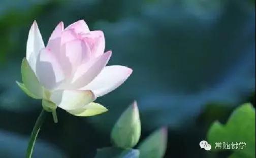 Ī������˳�������͡��׽����ѡ���Ϊһ̸