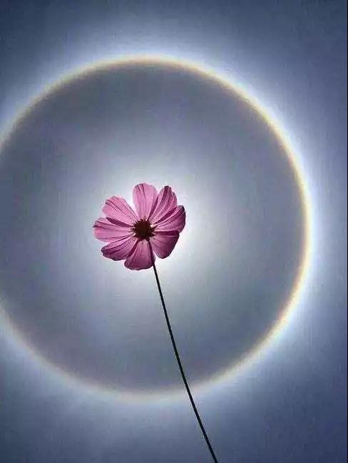 �޵úò��ã����Լ���û��������������