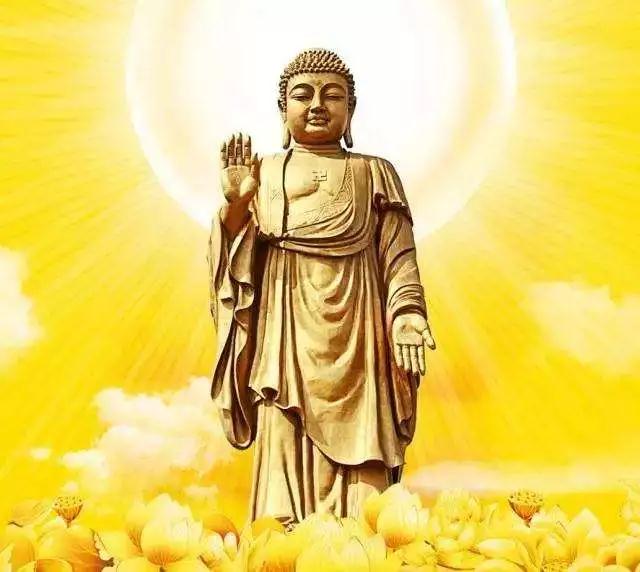 ѧ���Լ������Լ����������Żᱣ����