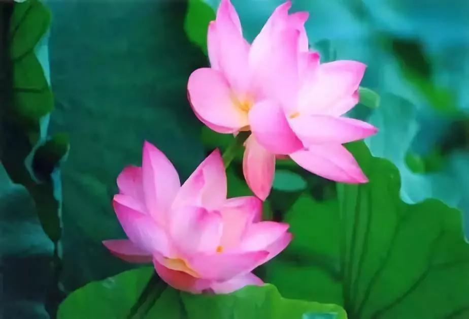 ѧ���Լ������Լ����������Żᱣ����