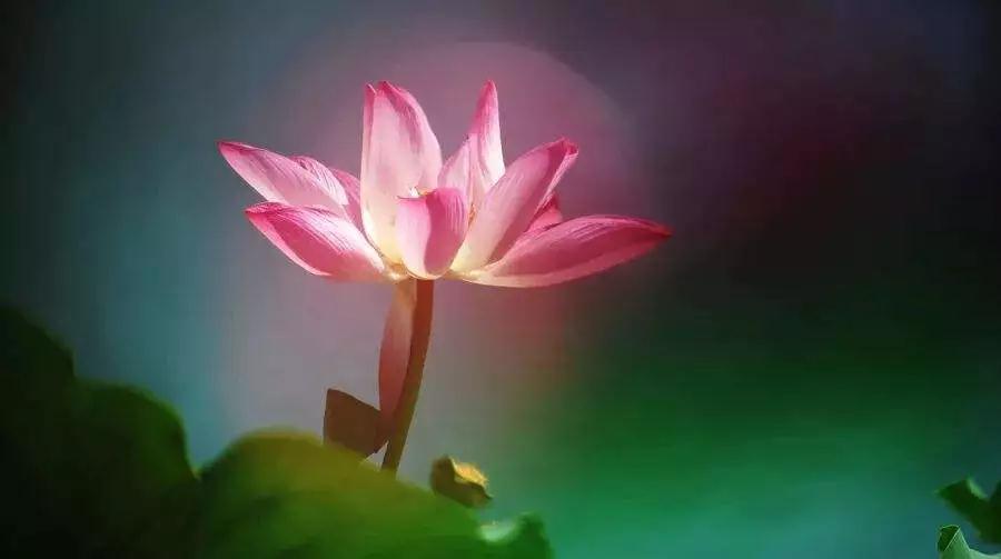 �ù��Ĺؼ��������ܲ��ܷ���