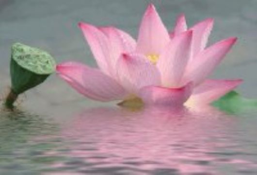 ��ʱ�򣬱�����Ҳ��һ���Ҹ�