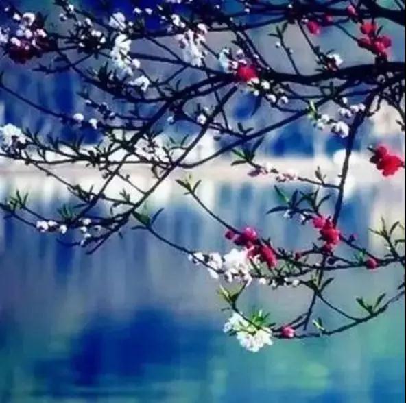 一心一意地去做世间的工作,本身就是在修道、就是在学佛 一心一意地去做世间的工作,本身就是在修道、就是在学佛