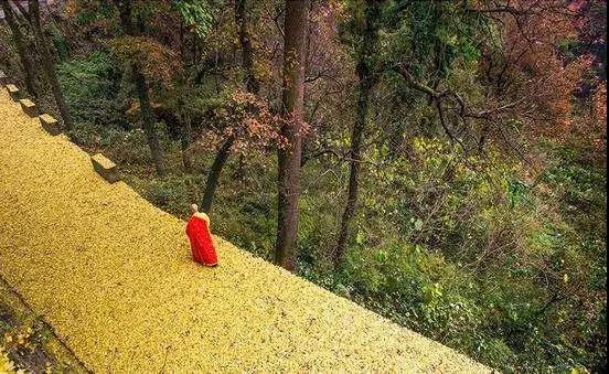 ӡ�ⷨʦ�������ߣ����ż��գ���������������ͨ