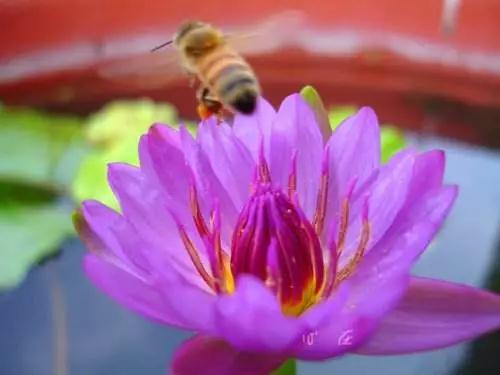 一个人要有美好的未来,你一定要有美好的思想 一个人要有美好的未来,你一定要有美好的思想