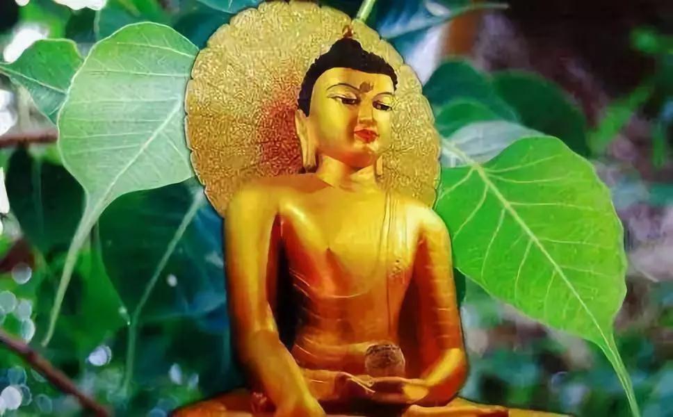 有佛法就有办法,修行和生活要相结合 有佛法就有办法,修行和生活要相结合