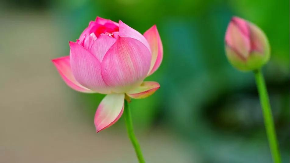 有佛法就有办法,修行和生活要相结合 有佛法就有办法,修行和生活要相结合