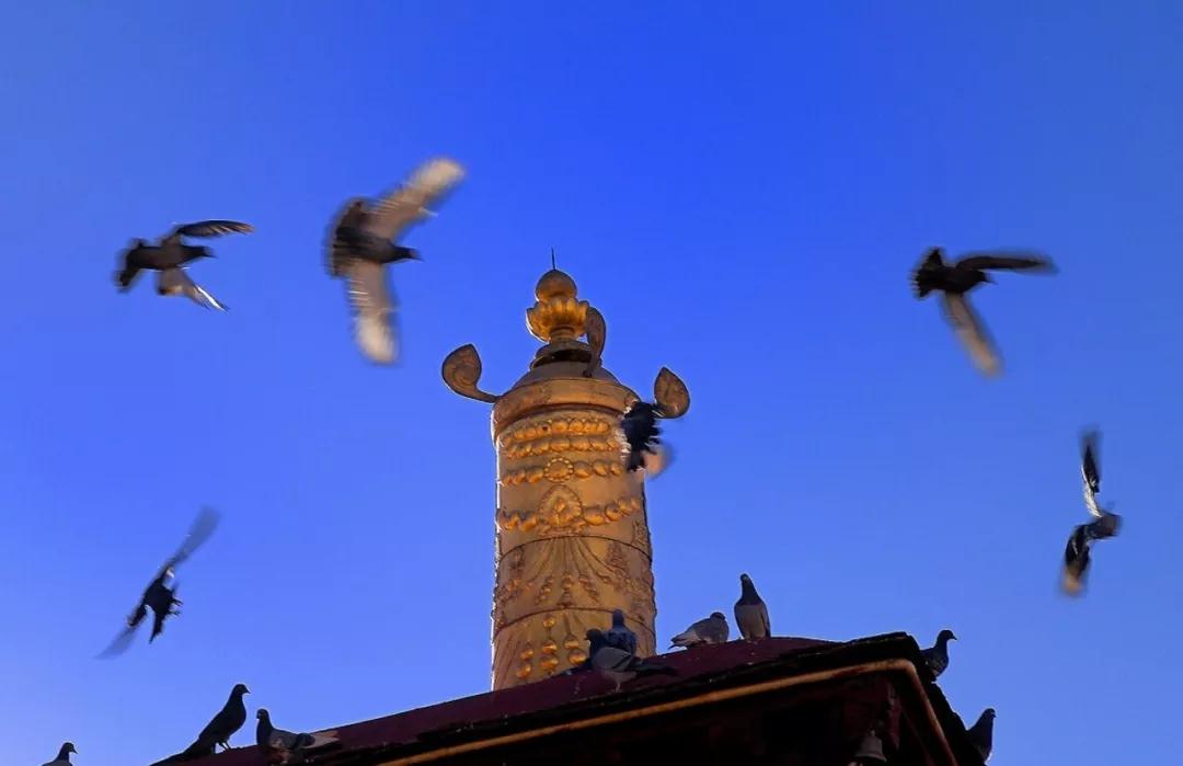 �볤�٣���Ҫ�Ȱ����������ˣ���Ҫ����