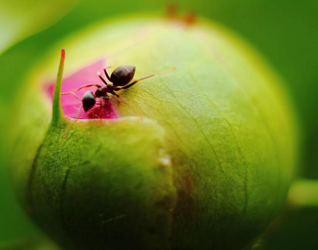 �ٻ������ˣ�Ҳ�������ַ���ȥ�ı�