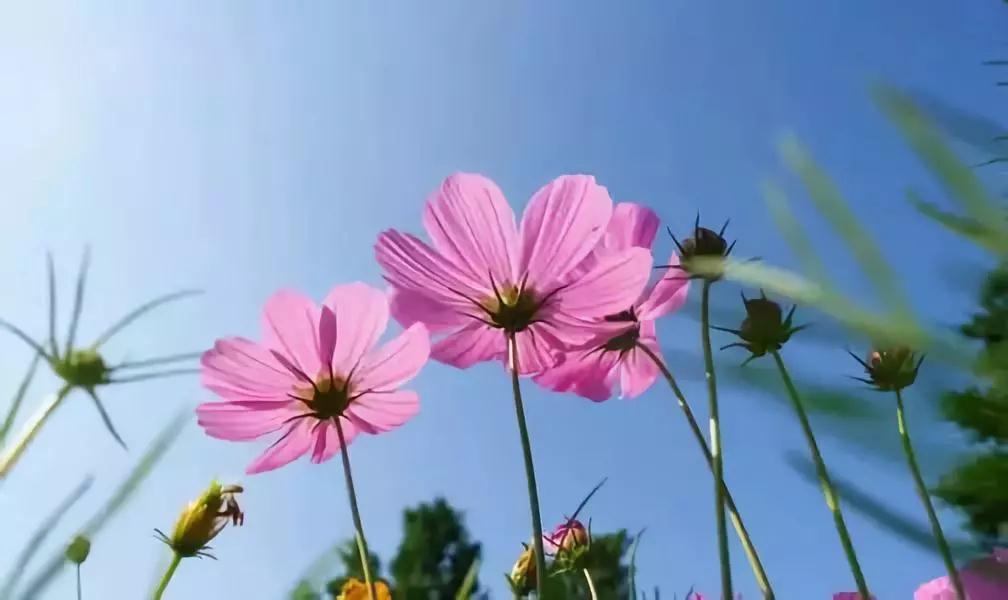 �޵��ˣ���Ҫ�徻����Ҫ̰ͼԤ��֪������