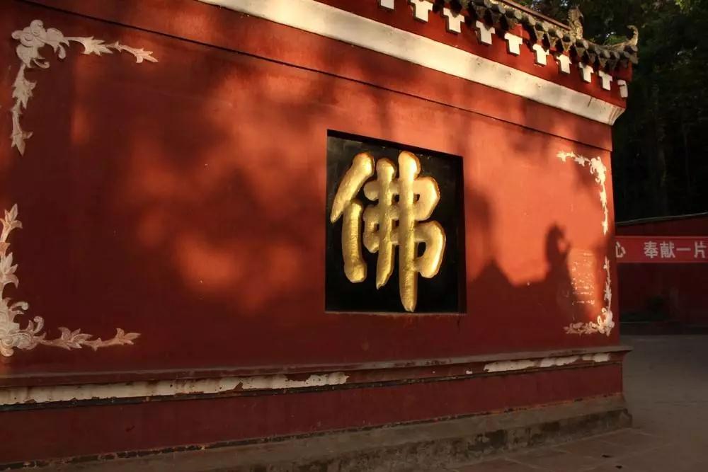 本来都是佛,现在为什么是众生呢? 本来都是佛,现在为什么是众生呢?