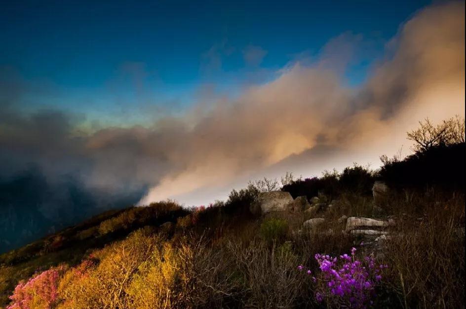 һ������˺�һ�����ŷ�������յľ޴󷴲�