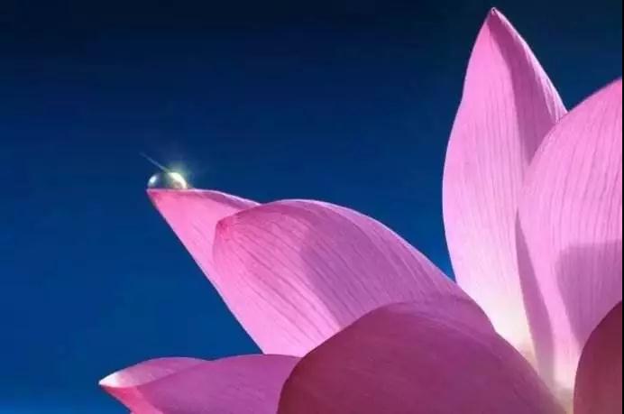 ���һ�Ĳ��ң��������ĸ�����