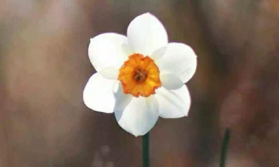 一心一意地去做世间的工作,本身就是在修道、就是在学佛 一心一意地去做世间的工作,本身就是在修道、就是在学佛