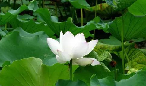 ӡ�ⷨʦ�������ɱ�𣿡������������Ⱥ����ҵ����