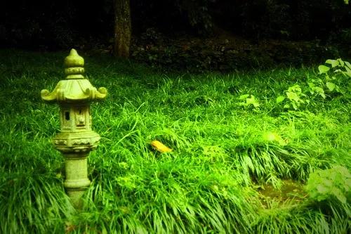 佛号入于乱心,乱心不得不佛 佛号入于乱心,乱心不得不佛