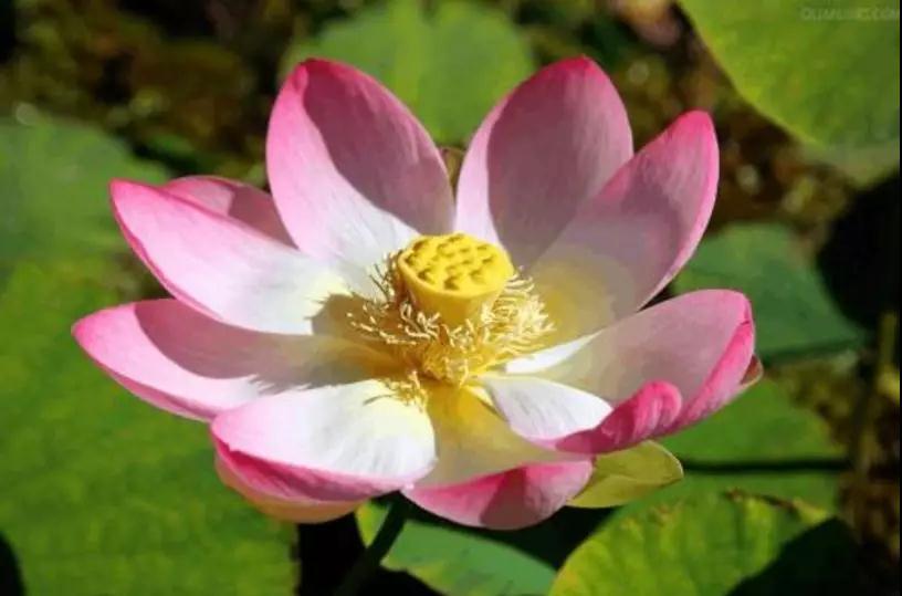 �������޺ñ������˻���ң_���������ô���ͣ�